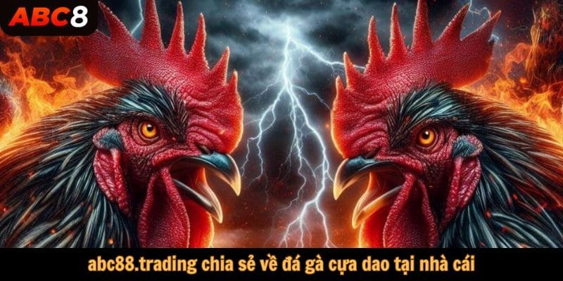 abc88.trading chia sẻ về cá cược đá gà cựa dao tại nhà cái ABC8