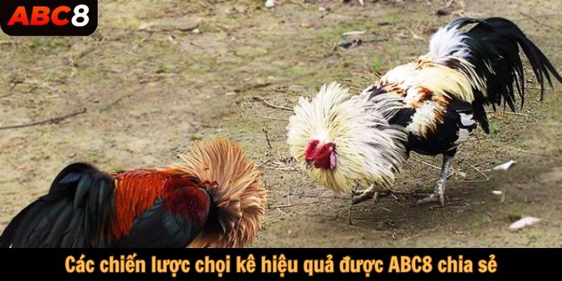 Các chiến lược chọi kê hiệu quả được ABC8 chia sẻ