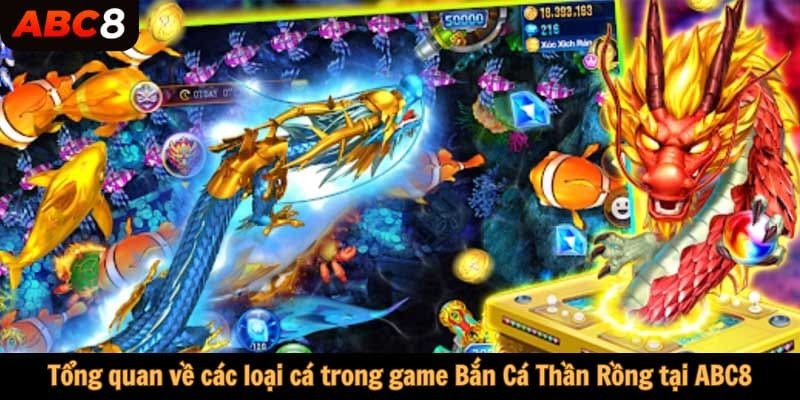 Tổng quan về các loại cá trong game Bắn Cá Thần Rồng tại ABC8