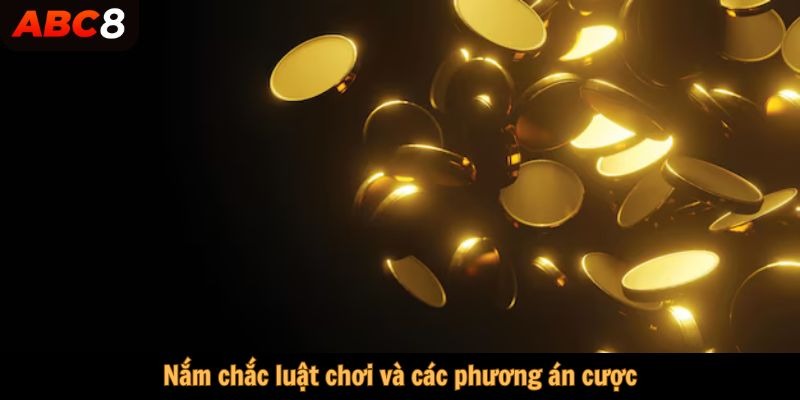 Nắm chắc luật chơi và các phương án cược